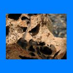 JGTermites1-17-01-2001.jpg