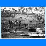 Terrain8.jpg