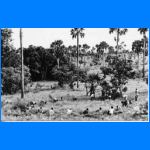 Terrain9.jpg